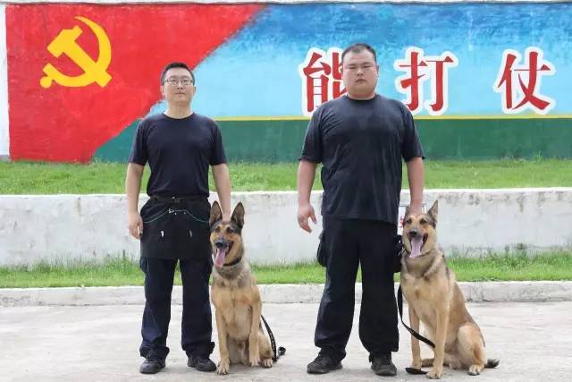 如何制定智能篮球训练计划_2